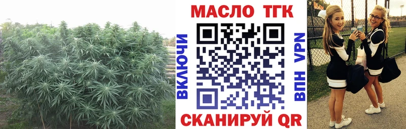 shop клад Лукоянов Дистиллят ТГК жижа
